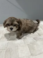 processed/18eba12e-ba5b-4a59-85ad-88c67261fb3b/listing/6c375854-a0bb-491c-b9fc-b34b2e60eee2/fc561633-b700-42d7-adb4-e887024c8767