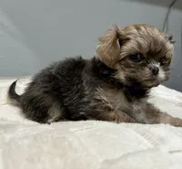 processed/18eba12e-ba5b-4a59-85ad-88c67261fb3b/listing/f33f9fcf-7c84-44e4-9da9-2e4b0d1d5a8b/09e7a807-390a-4a8f-815f-37c6c73535e7