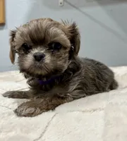 processed/18eba12e-ba5b-4a59-85ad-88c67261fb3b/listing/f33f9fcf-7c84-44e4-9da9-2e4b0d1d5a8b/105883ef-6839-4e0e-9a4c-6bd7772b8191