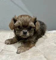 processed/18eba12e-ba5b-4a59-85ad-88c67261fb3b/listing/f33f9fcf-7c84-44e4-9da9-2e4b0d1d5a8b/15283e90-47c3-4a97-829a-2035d99cb4b4