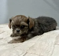 processed/18eba12e-ba5b-4a59-85ad-88c67261fb3b/listing/f33f9fcf-7c84-44e4-9da9-2e4b0d1d5a8b/282e0108-4b29-43eb-8eed-2c921d62fab5