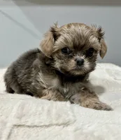 processed/18eba12e-ba5b-4a59-85ad-88c67261fb3b/listing/f33f9fcf-7c84-44e4-9da9-2e4b0d1d5a8b/eebca04a-5447-431e-83d5-62fe2aacea60