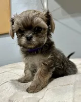 processed/18eba12e-ba5b-4a59-85ad-88c67261fb3b/listing/f33f9fcf-7c84-44e4-9da9-2e4b0d1d5a8b/f0e7308d-ffc2-496c-8ee7-35cb7a7d4082