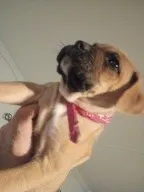 processed/18f3867d-7423-4e1b-b73a-831c195154e8/listing/57533c7f-3652-4de7-b4da-c5bc3f4d1914/43930184-5508-40ae-a39c-bacf424ed5b4