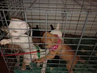 processed/18f3867d-7423-4e1b-b73a-831c195154e8/listing/57533c7f-3652-4de7-b4da-c5bc3f4d1914/5e1db979-17c9-478d-85bc-82ab8b5b36e7