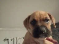 processed/18f3867d-7423-4e1b-b73a-831c195154e8/listing/57533c7f-3652-4de7-b4da-c5bc3f4d1914/6dfc4a20-78ec-41ae-94d1-0b79e723e00f