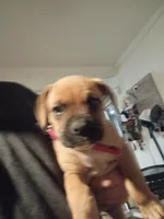 processed/18f3867d-7423-4e1b-b73a-831c195154e8/listing/57533c7f-3652-4de7-b4da-c5bc3f4d1914/b882b5be-4821-4527-9a10-3a5e589db43c