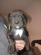 processed/18f3867d-7423-4e1b-b73a-831c195154e8/listing/c516d060-5d50-445f-a8d2-7c24d61207c5/8c7885b8-eb27-4475-9347-234a54bf1e41