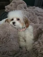 processed/18f828cb-80a2-4198-a3e0-b1175c176c9a/facility/5f301671-faf5-4778-8c58-b4253955fc90