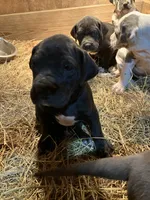 processed/190bd8ca-a62b-4771-b84f-56de6b531d3d/listing/92be1f51-eb0a-4ca9-9642-e7418d9fd207/46198bee-29a4-4dfe-89f8-d2b4673fa357