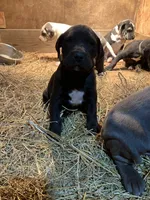 processed/190bd8ca-a62b-4771-b84f-56de6b531d3d/listing/92be1f51-eb0a-4ca9-9642-e7418d9fd207/56b118b9-dd2d-4bb2-952f-9074ba21418f