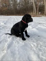 processed/190bd8ca-a62b-4771-b84f-56de6b531d3d/listing/92be1f51-eb0a-4ca9-9642-e7418d9fd207/6e9d1aaf-0be8-4c53-a1eb-3240234f454d