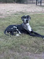 processed/190bd8ca-a62b-4771-b84f-56de6b531d3d/listing/92be1f51-eb0a-4ca9-9642-e7418d9fd207/9045a44c-975d-435d-86e1-2c53bbfe1be7