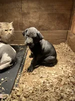 processed/190bd8ca-a62b-4771-b84f-56de6b531d3d/listing/92be1f51-eb0a-4ca9-9642-e7418d9fd207/aa9e7a7e-2775-4388-bfbd-3752550ea222