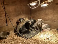 processed/190bd8ca-a62b-4771-b84f-56de6b531d3d/listing/92be1f51-eb0a-4ca9-9642-e7418d9fd207/bdb94231-cac6-4069-bea5-0114a1dce280