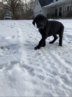 processed/190bd8ca-a62b-4771-b84f-56de6b531d3d/listing/92be1f51-eb0a-4ca9-9642-e7418d9fd207/f815bdac-df28-450f-979a-1acaad595e07