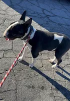 processed/191585e7-14b2-49df-8b19-88010cb2ba4f/facility/1b9c1ea4-5404-4305-b233-1a2770929677