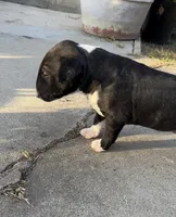 processed/191585e7-14b2-49df-8b19-88010cb2ba4f/facility/65dd27d6-c1f3-4c6f-8a01-1b062f0858aa