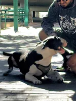 processed/191585e7-14b2-49df-8b19-88010cb2ba4f/facility/bd2213bb-3d0b-4b78-a69b-ca47deb88341