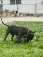 processed/191585e7-14b2-49df-8b19-88010cb2ba4f/facility/dae72d12-f77f-4027-8146-dddb6ce545f9