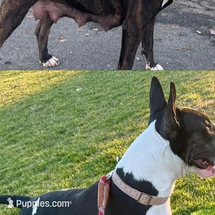 processed/191585e7-14b2-49df-8b19-88010cb2ba4f/facility/f6e04b07-816d-469b-b61f-93ee5eb53779