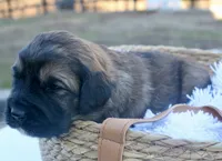 processed/192590e5-9257-49ce-b40f-017b37080897/listing/0ae05202-5472-40c2-bfb6-f0942b369db2/348a225b-85f0-4ccf-84ef-9eddba088ac4