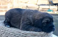 processed/192590e5-9257-49ce-b40f-017b37080897/listing/0ae05202-5472-40c2-bfb6-f0942b369db2/a101f8bd-e78d-4311-8fb0-6945cf5bbcea