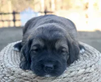 processed/192590e5-9257-49ce-b40f-017b37080897/listing/0ae05202-5472-40c2-bfb6-f0942b369db2/a8882dd0-e38e-4f5e-9741-c5c06879c9f2