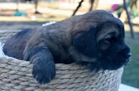 processed/192590e5-9257-49ce-b40f-017b37080897/listing/0ae05202-5472-40c2-bfb6-f0942b369db2/b82337bd-8ce3-45c8-96eb-64afcb9e144f