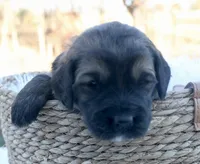 processed/192590e5-9257-49ce-b40f-017b37080897/listing/0ae05202-5472-40c2-bfb6-f0942b369db2/e9a615a7-0c32-4f97-adf8-5f026338ad60