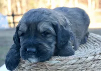 processed/192590e5-9257-49ce-b40f-017b37080897/listing/428707ed-776e-45d5-8203-008cbc192100/05b325ae-659b-4b02-ae42-8136bff2cf81