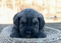 processed/192590e5-9257-49ce-b40f-017b37080897/listing/428707ed-776e-45d5-8203-008cbc192100/6e4bd40a-635a-416c-9a30-374465c061cc