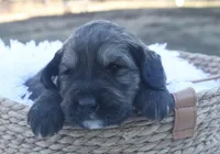 processed/192590e5-9257-49ce-b40f-017b37080897/listing/428707ed-776e-45d5-8203-008cbc192100/7a3ed00c-3d6d-49e3-b2e3-0afe5f71f9ce