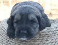 processed/192590e5-9257-49ce-b40f-017b37080897/listing/428707ed-776e-45d5-8203-008cbc192100/c78b1862-96c2-4adc-aa8c-d4c85e7ad19e