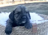 processed/192590e5-9257-49ce-b40f-017b37080897/listing/428707ed-776e-45d5-8203-008cbc192100/cecc1af6-9239-4485-89c5-ba4a4bef407e