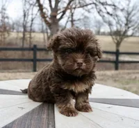 processed/192590e5-9257-49ce-b40f-017b37080897/listing/52cd49c8-4bd4-48d3-a92a-6f6842f03305/1147d89c-13e6-46bd-b0ef-e32a18078002