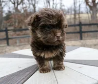 processed/192590e5-9257-49ce-b40f-017b37080897/listing/52cd49c8-4bd4-48d3-a92a-6f6842f03305/7a3c5bf1-dda1-42c0-a176-f6ac9cf1f1f3