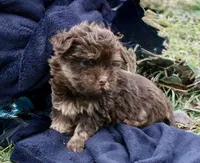 processed/192590e5-9257-49ce-b40f-017b37080897/listing/52cd49c8-4bd4-48d3-a92a-6f6842f03305/c4b20673-7d43-46ee-828f-36d8c5dc729a