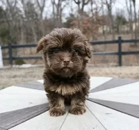 processed/192590e5-9257-49ce-b40f-017b37080897/listing/52cd49c8-4bd4-48d3-a92a-6f6842f03305/c92ef266-9724-4ac2-996c-f084ecb26bc6