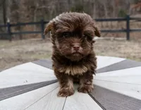 processed/192590e5-9257-49ce-b40f-017b37080897/listing/52cd49c8-4bd4-48d3-a92a-6f6842f03305/ded492c1-eddb-433e-9f5d-2d82bbfa6e25