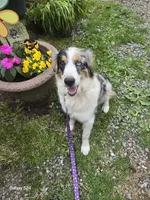 processed/19271e61-9efa-45a3-a974-b843f89a5d91/listing/57b5a533-84dc-43c5-b3ae-1c46969a7bd8/204da67f-c550-49ff-ad25-89c6a40cafb9