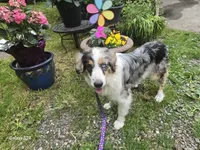 processed/19271e61-9efa-45a3-a974-b843f89a5d91/listing/57b5a533-84dc-43c5-b3ae-1c46969a7bd8/506afccb-534f-4a55-afca-749a48e0da49