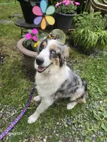 processed/19271e61-9efa-45a3-a974-b843f89a5d91/listing/57b5a533-84dc-43c5-b3ae-1c46969a7bd8/d593eef9-000a-4255-80a1-c9866aa08223