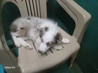 processed/19271e61-9efa-45a3-a974-b843f89a5d91/listing/9ebf4c47-ee1d-4cff-9641-f6044cd2bf90/6ad3b185-ac33-43f8-a146-3316289a16cf