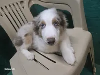 processed/19271e61-9efa-45a3-a974-b843f89a5d91/listing/9ebf4c47-ee1d-4cff-9641-f6044cd2bf90/a9ed8d3a-c4af-465e-addf-b14d680b135d