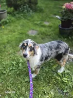 processed/19271e61-9efa-45a3-a974-b843f89a5d91/listing/a3a2fec8-71ff-44f8-80a9-cc0e9c3bfaf3/1c567d5a-f7b0-479f-bd22-7b911e7761f1