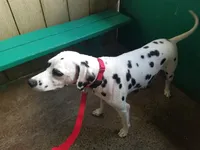 processed/19271e61-9efa-45a3-a974-b843f89a5d91/listing/fce57393-48e7-4dbe-87b1-6fa224af2b65/aa583a20-850c-44bf-8a88-75b68e8ae3b9