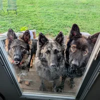 processed/1927accd-5952-44e4-a01d-606434a87016/facility/1bb2fbf1-1107-462b-88ac-27908da5802a