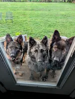 processed/1927accd-5952-44e4-a01d-606434a87016/facility/1bb2fbf1-1107-462b-88ac-27908da5802a