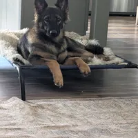 processed/1927accd-5952-44e4-a01d-606434a87016/facility/1df2d104-3880-4b23-a0d3-b71ea70cb60a